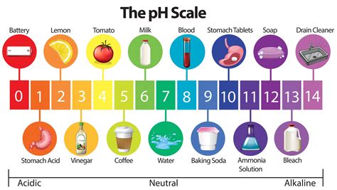 646ph.ph.com|what does ph mean.